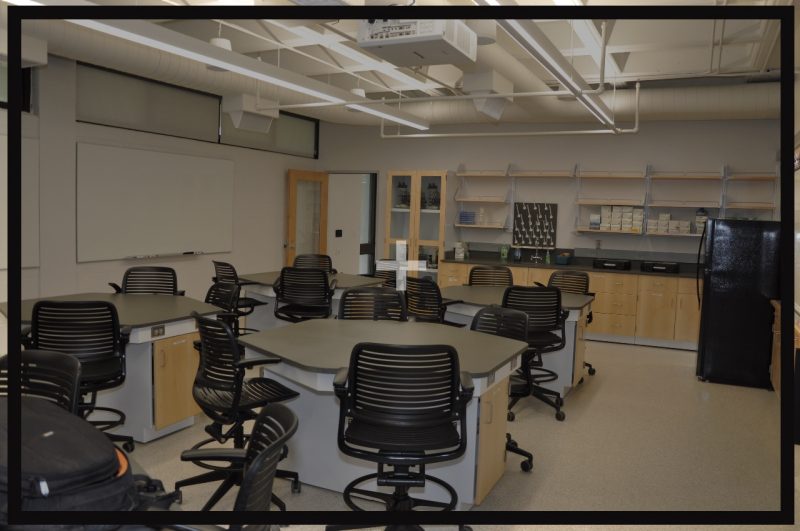 lab lab