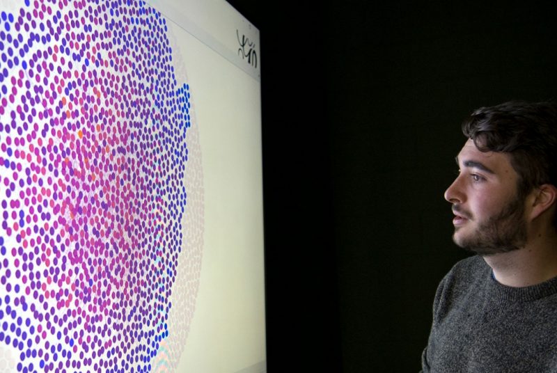 student looks at data heat map in cmda lab